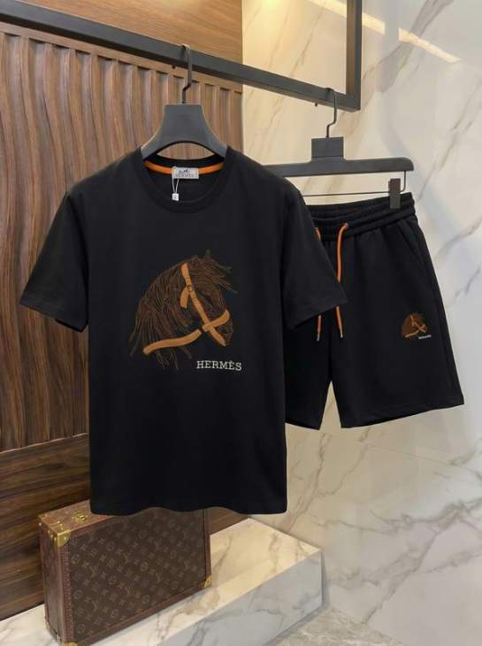 Picture of Hermes Shirt Pant Suits _SKUHermesM-3XLxetr13222393
